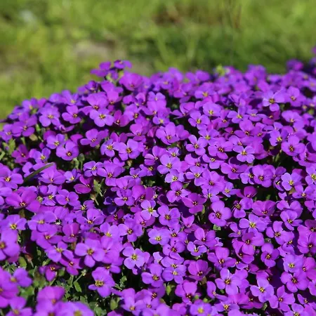 Domblick An Der Freiheit Διαμέρισμα