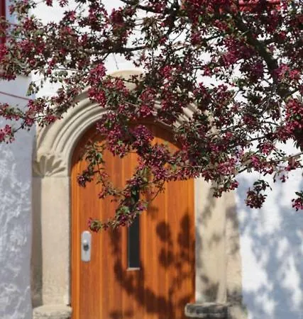 Domblick An Der Freiheit * Meißen