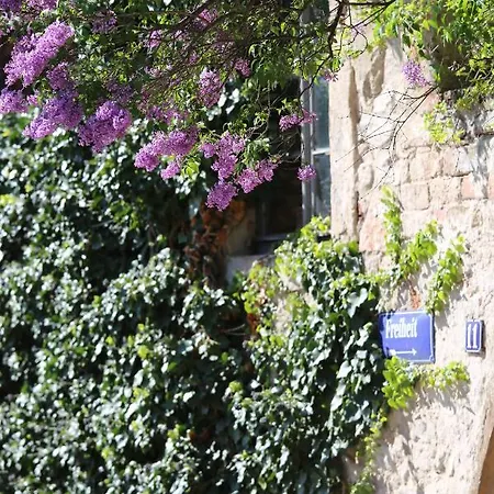 Domblick An Der Freiheit * Meißen